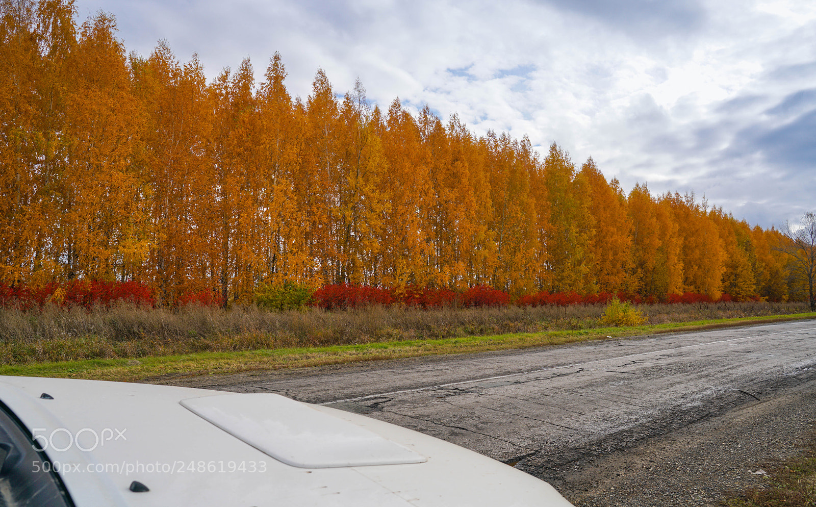 Sony a7R II sample photo. Autumn road photography