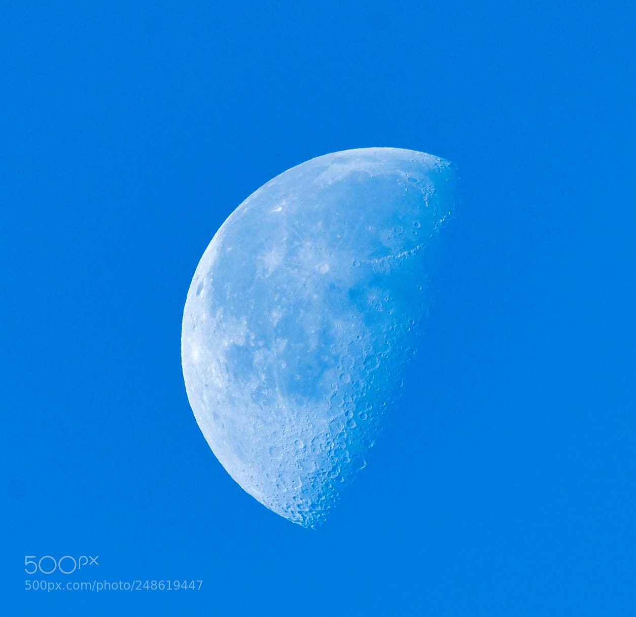 Canon EOS-1D X Mark II sample photo. 03-08-18-0006748.jpg photography