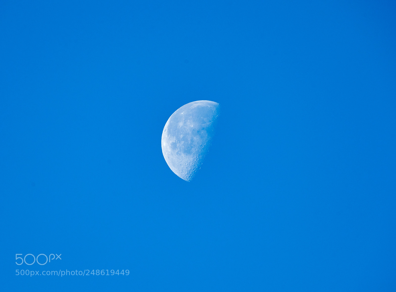 Canon EOS-1D X Mark II sample photo. 03-08-18-0006747.jpg photography