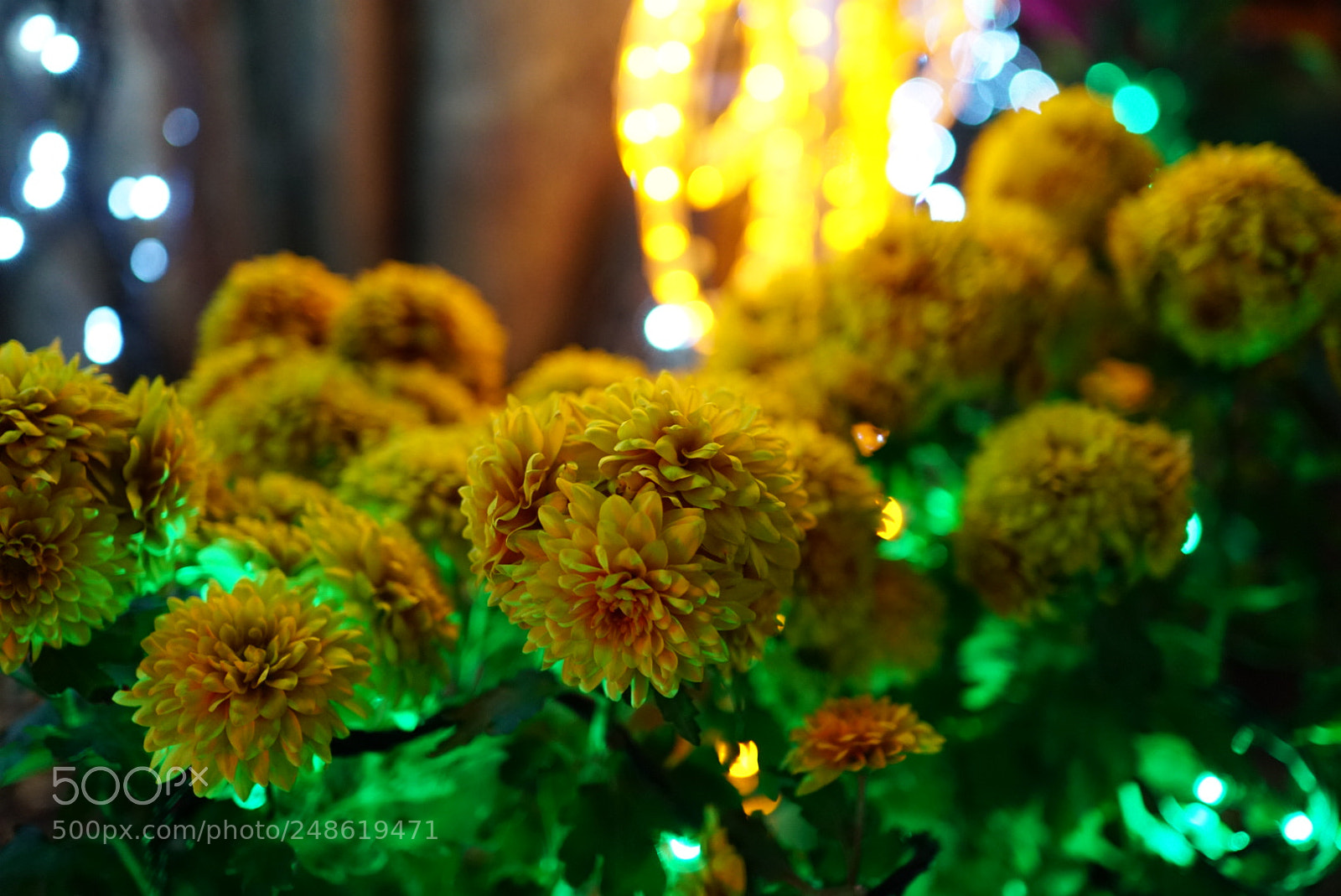Sony a6300 sample photo. Untitled photography