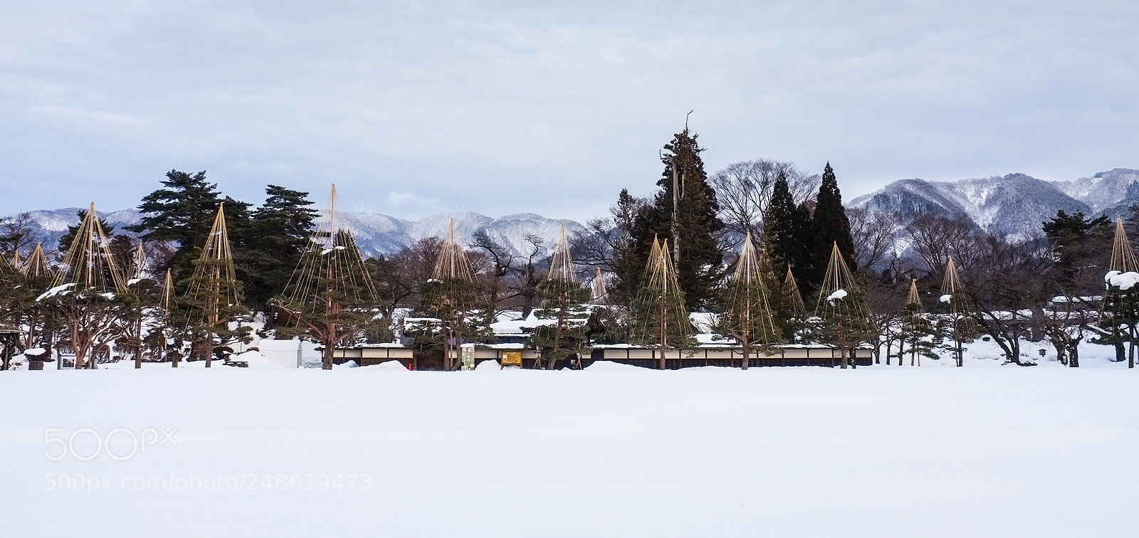 Fujifilm FinePix X100 sample photo. Just like a painting photography