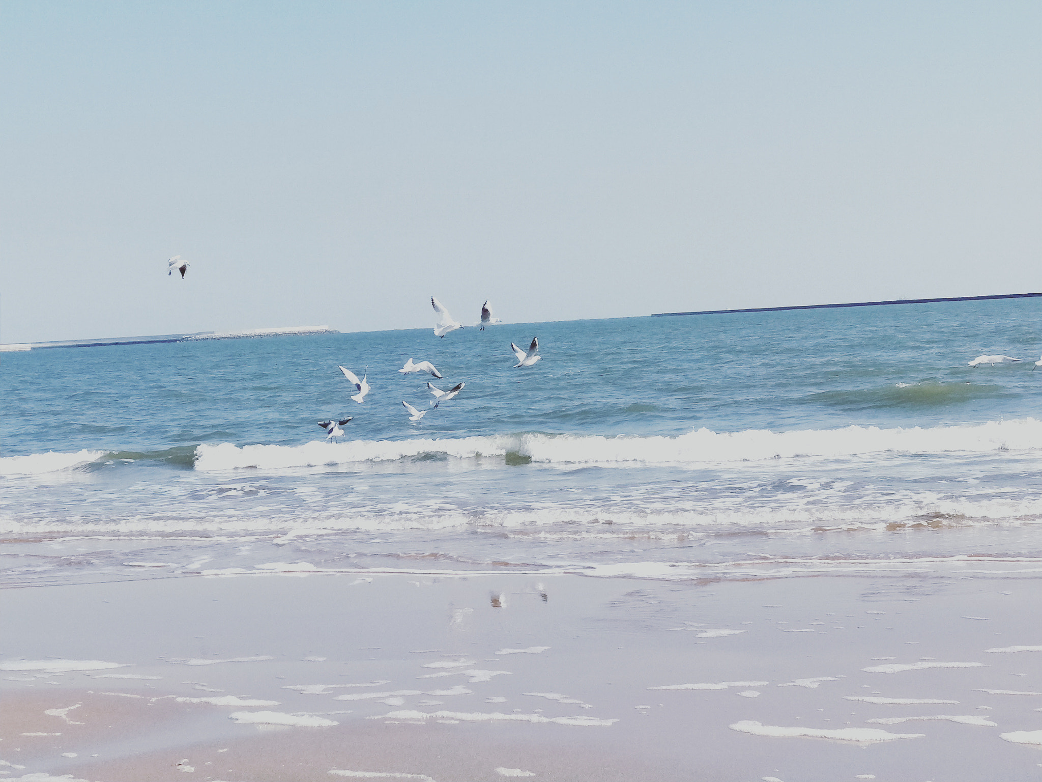 OPPO R11 sample photo
