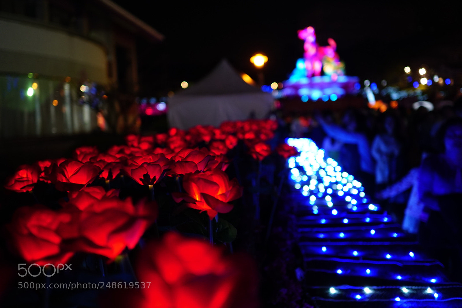 Sony a6300 sample photo. Untitled photography
