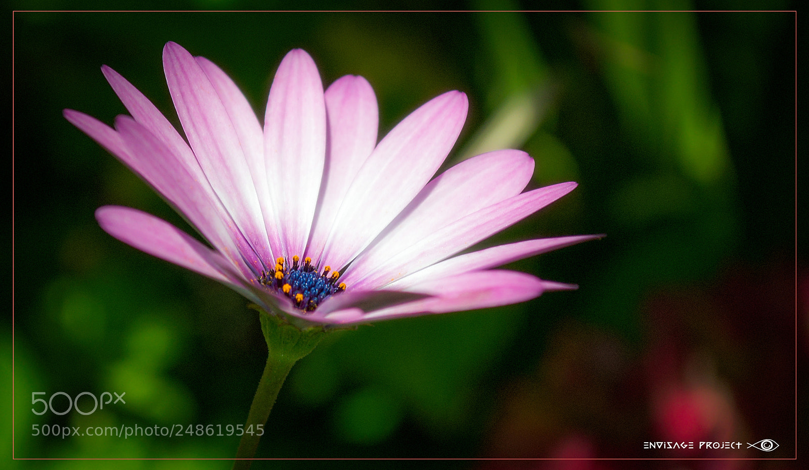 Nikon D3100 sample photo. Reaching for the sky photography
