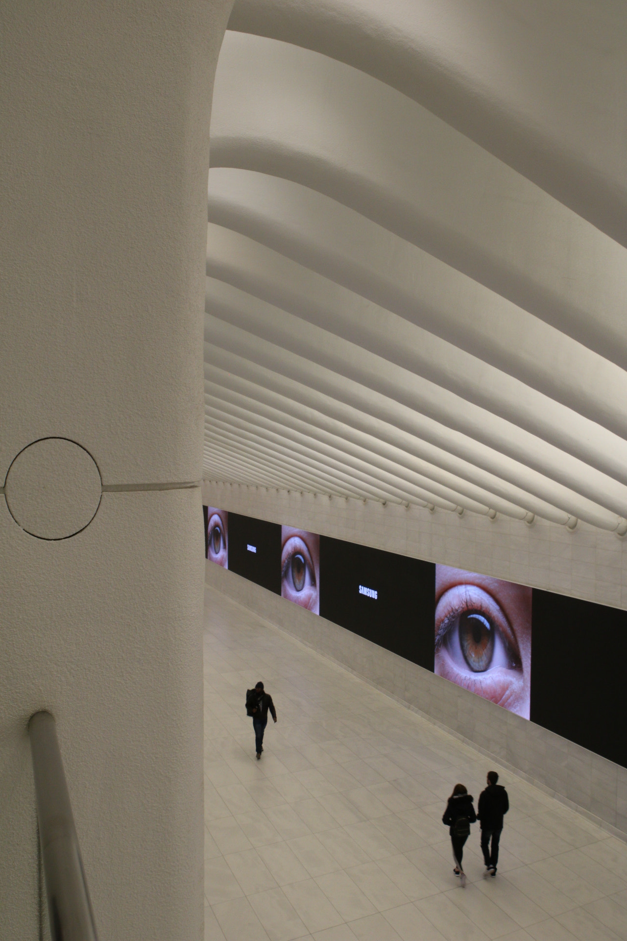 Canon EOS 760D (EOS Rebel T6s / EOS 8000D) sample photo. The oculus photography