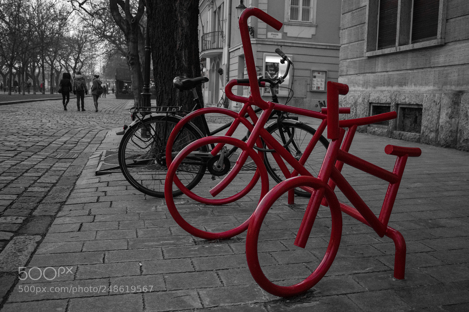 Canon EOS 200D (EOS Rebel SL2 / EOS Kiss X9) sample photo. Red bike. photography