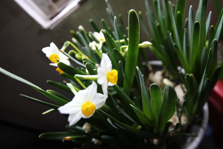 Canon EF 16-35mm F4L IS USM sample photo