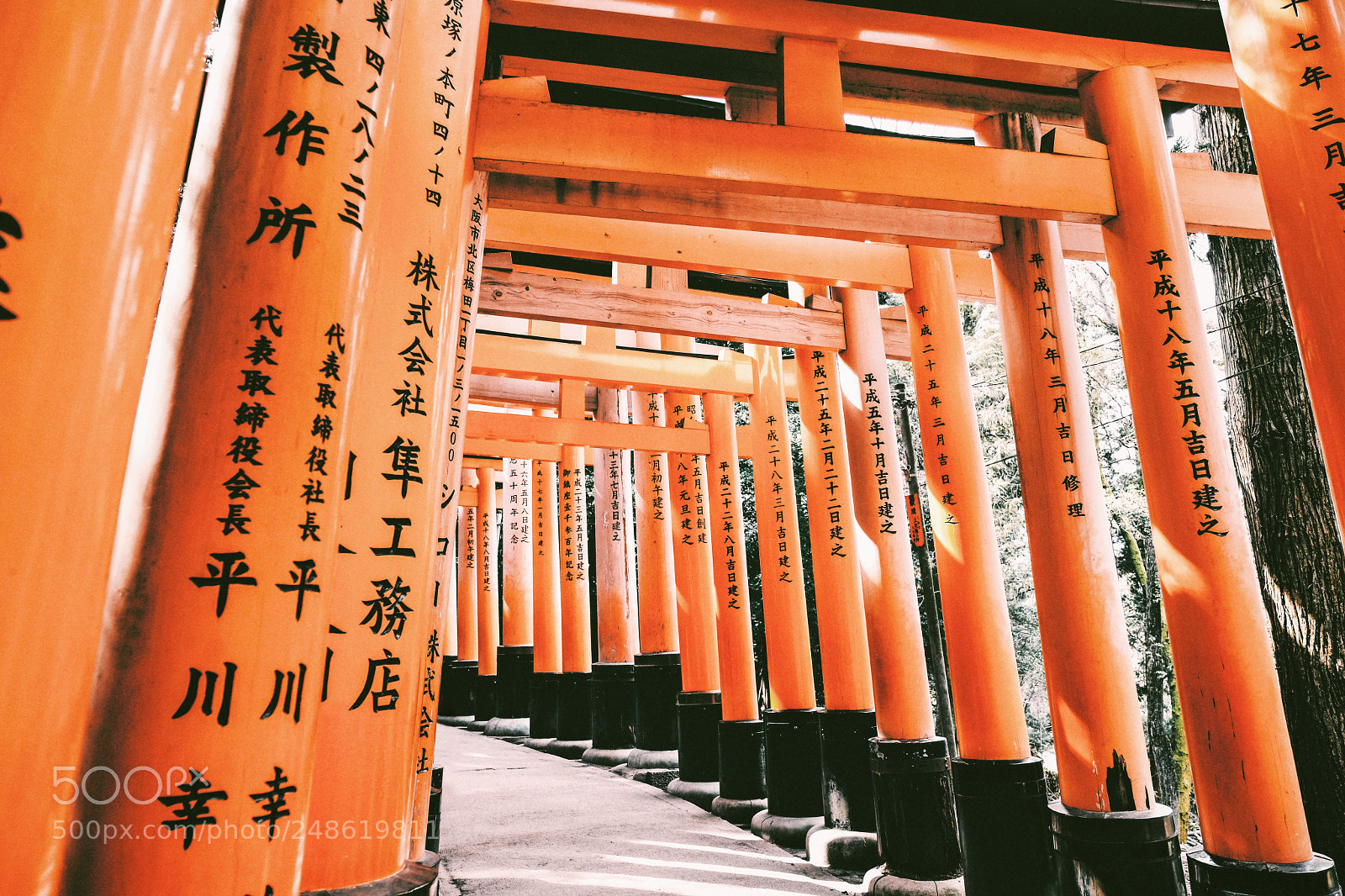 Fujifilm X-T2 sample photo. Untitled photography