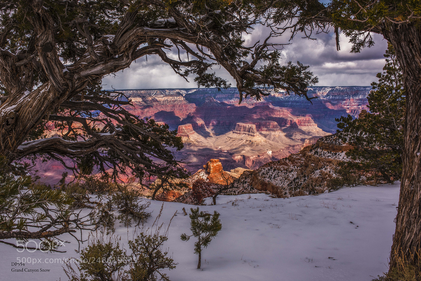 Nikon D810 sample photo. Usa, arizona, grand canyon photography
