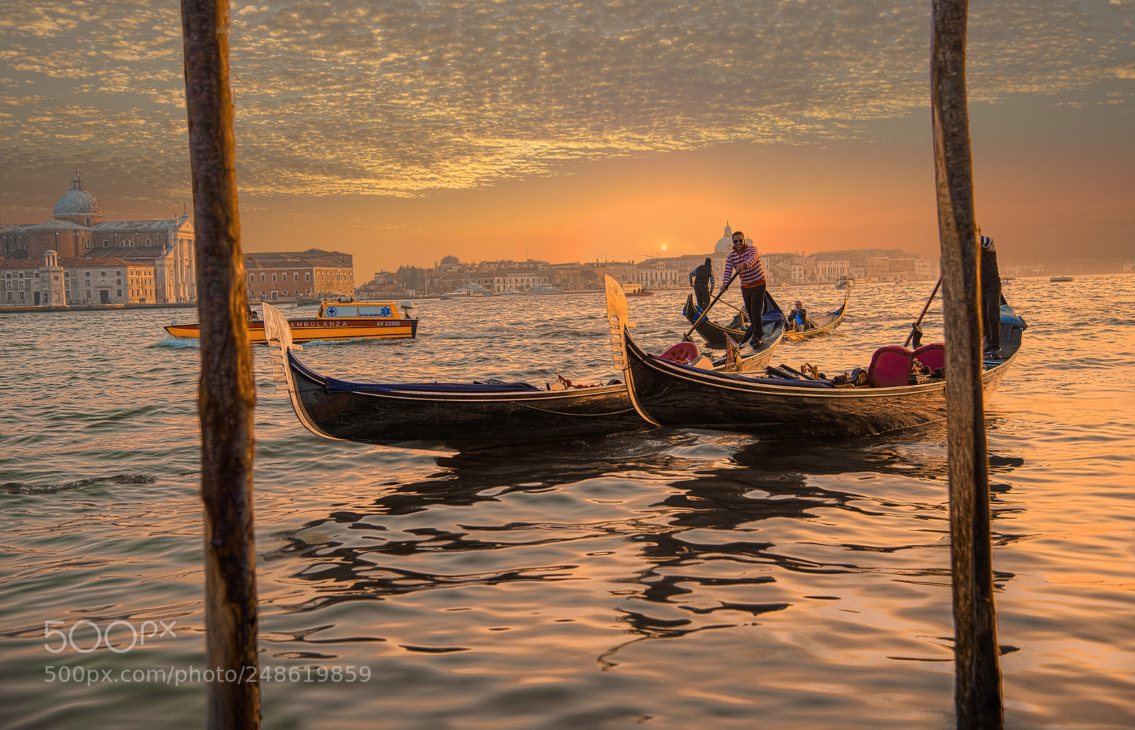 Nikon D800E sample photo. Gondolas venice italy photography