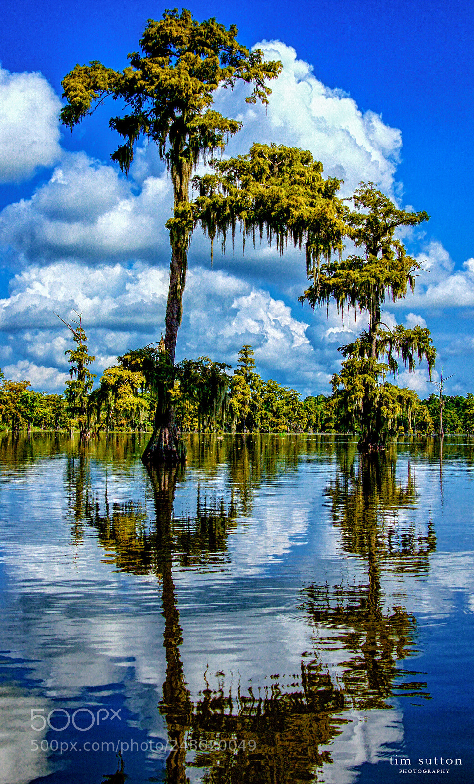Sony SLT-A55 (SLT-A55V) sample photo. Bayou reflection photography
