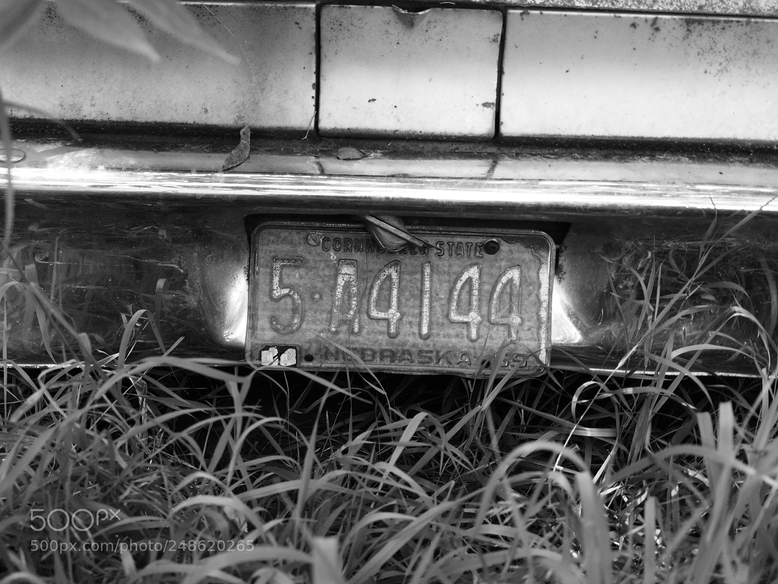 Olympus OM-D E-M1 sample photo. Expired plates photography