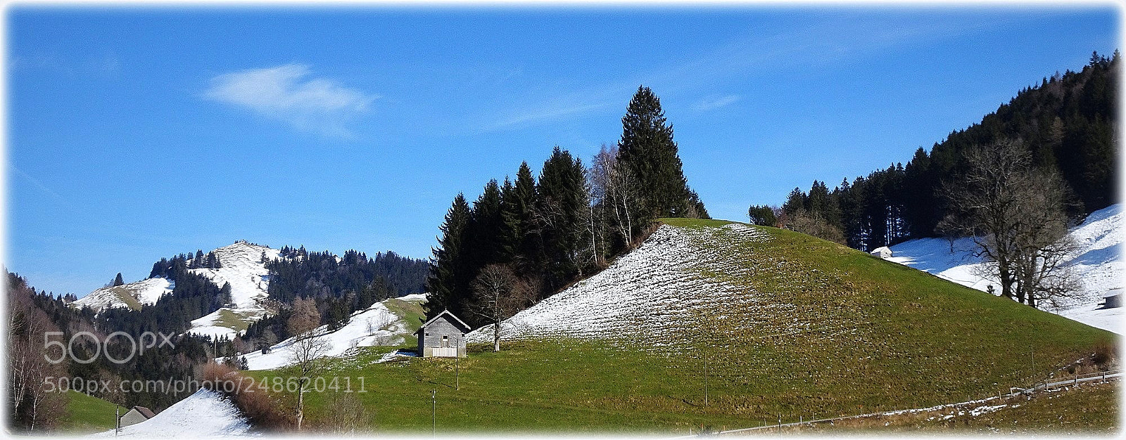 Sony Cyber-shot DSC-HX80 sample photo. "alee;le printemps" photography