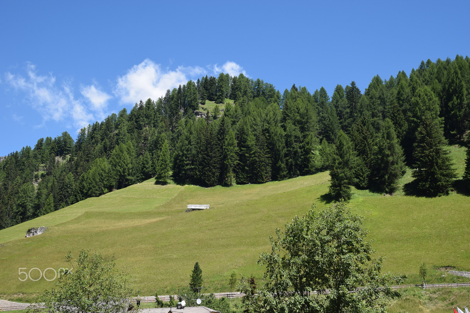 Nikon D5300 sample photo. Dolomiti100 photography