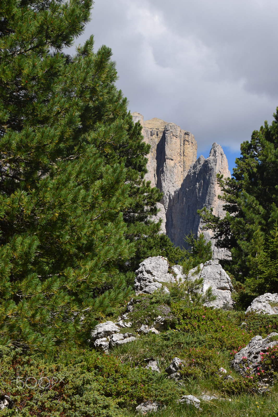 Nikon D5300 sample photo. Dolomiti101 photography