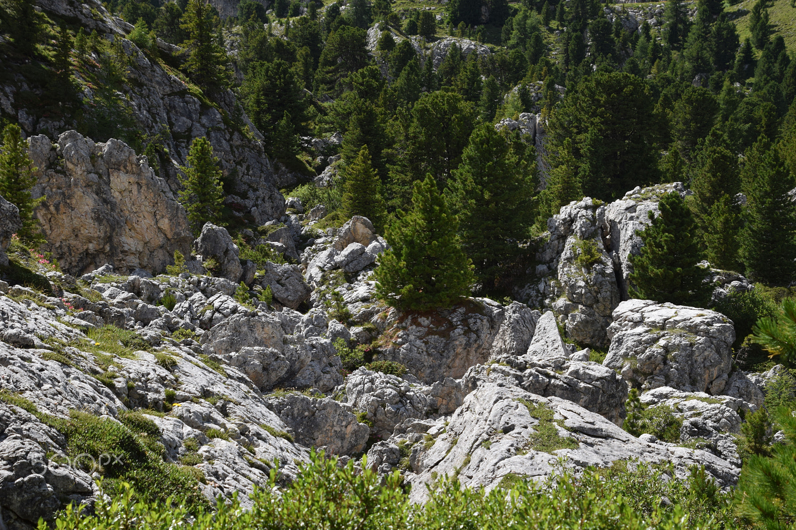 Nikon D5300 sample photo. Dolomiti102 photography