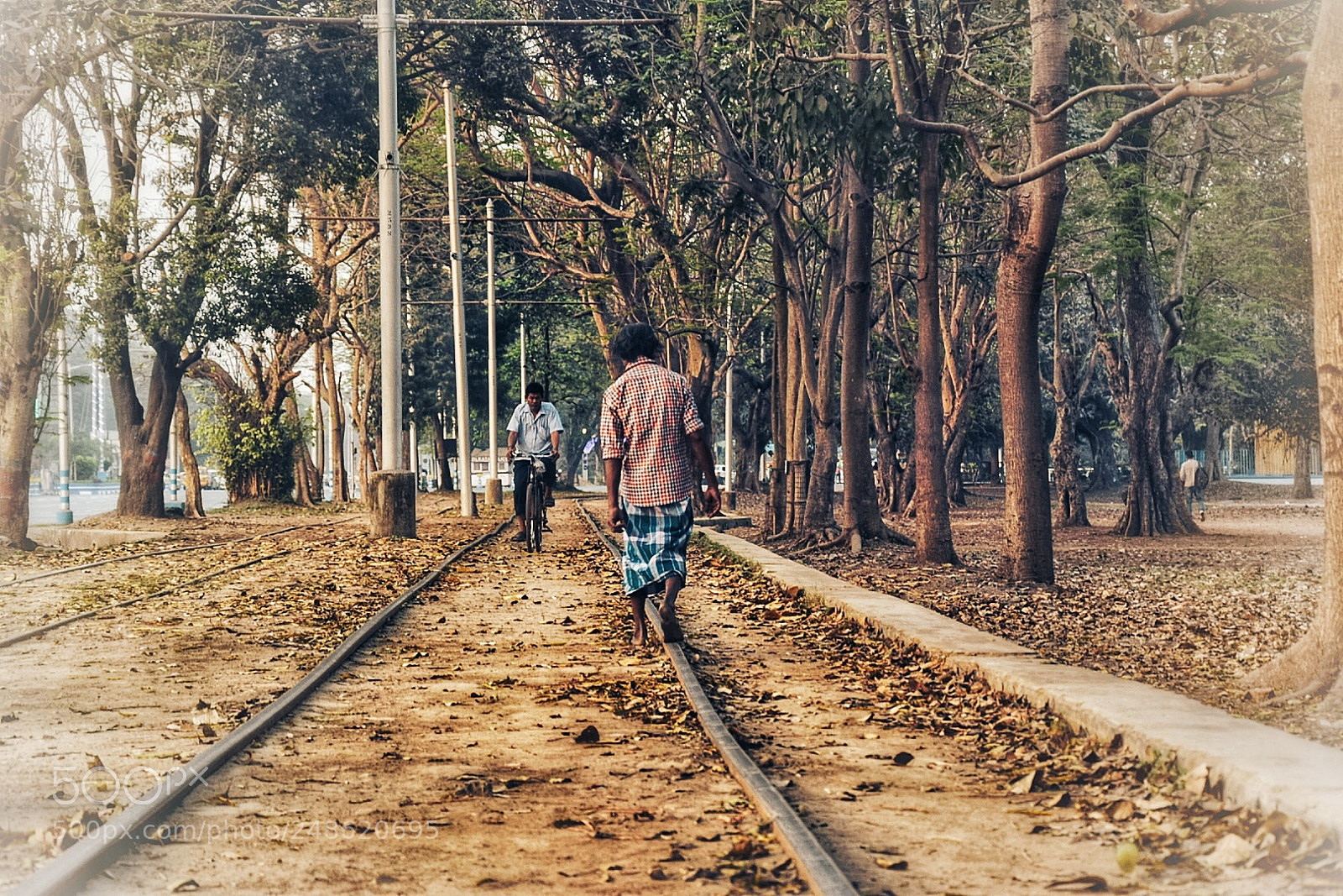Nikon D5300 sample photo. The tramline stories photography
