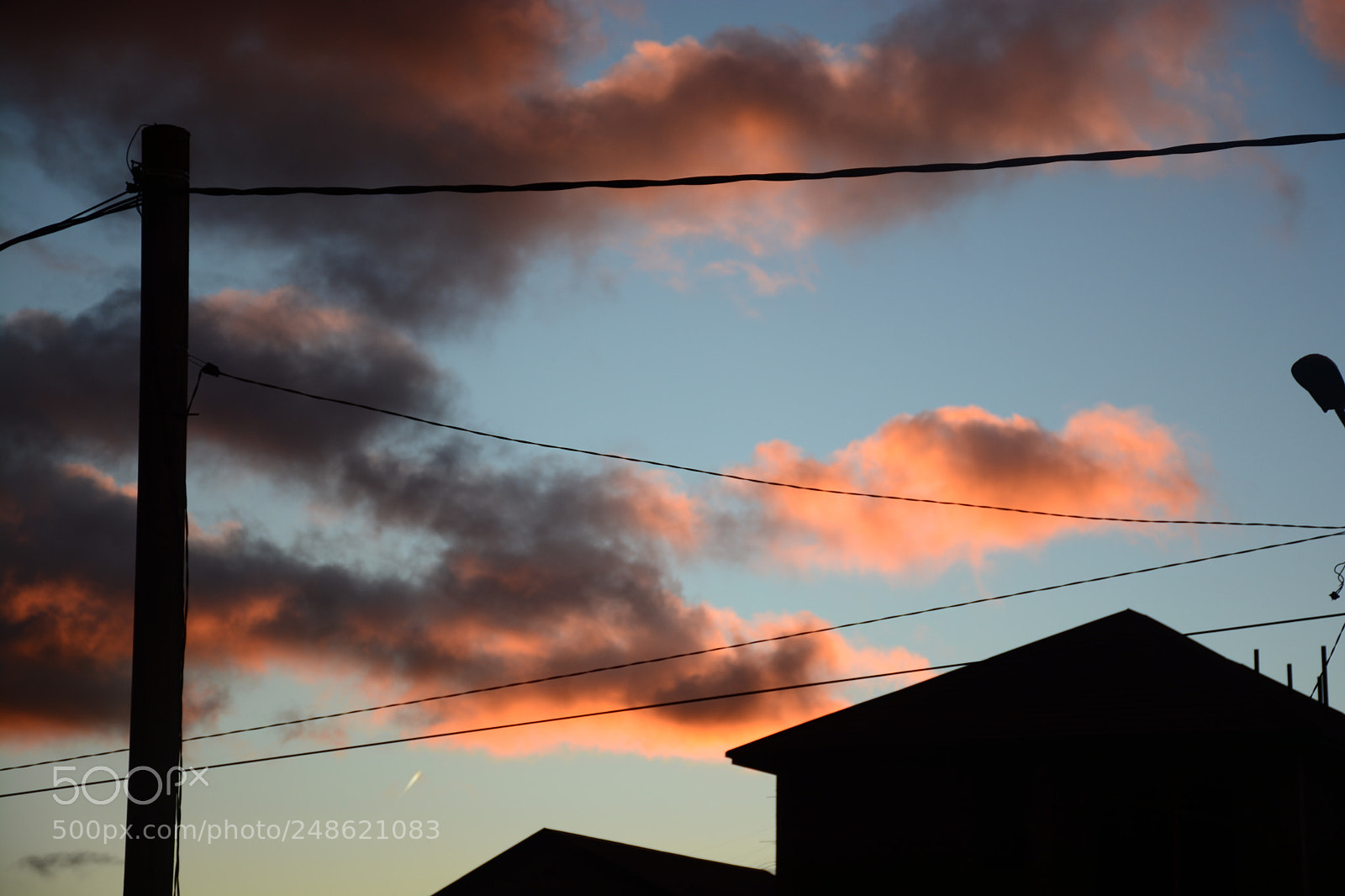 Nikon D7100 sample photo. Floating peachcolor photography
