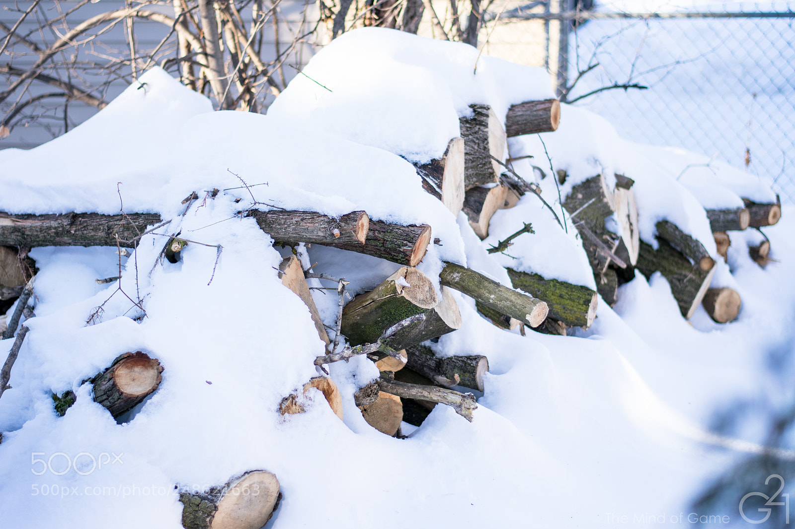 Nikon D3400 sample photo. Snow covered wood photography