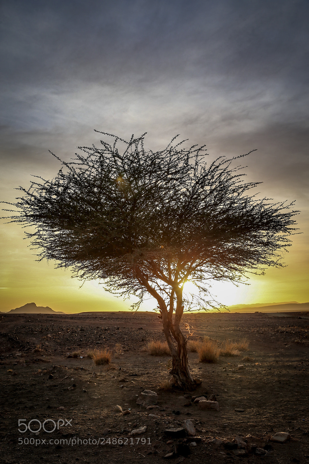 Canon EOS-1D X sample photo. Sahara textures. photography