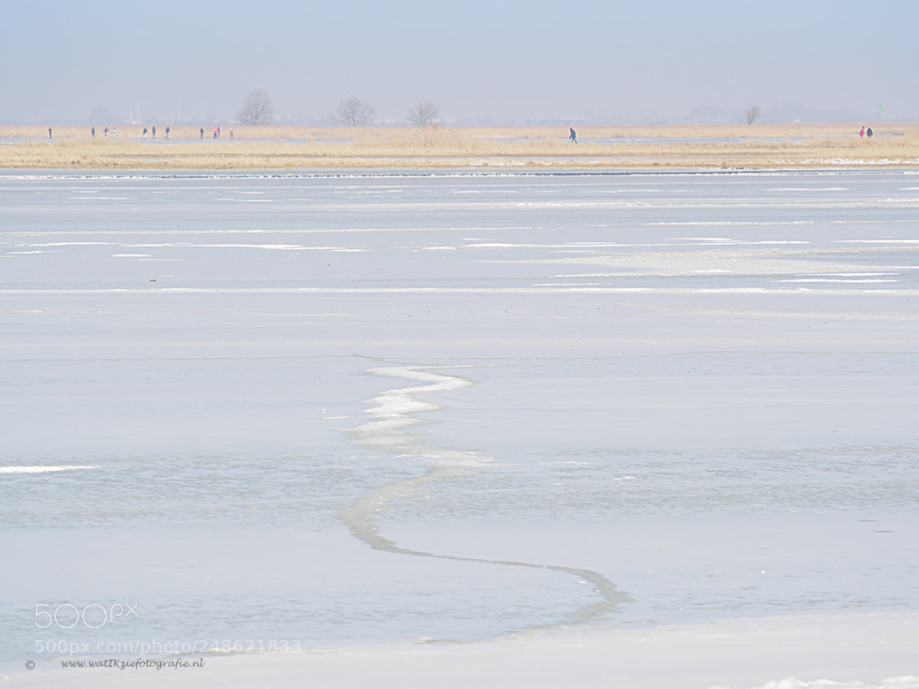Olympus OM-D E-M5 II sample photo. So cold at lauwersmeer..... photography