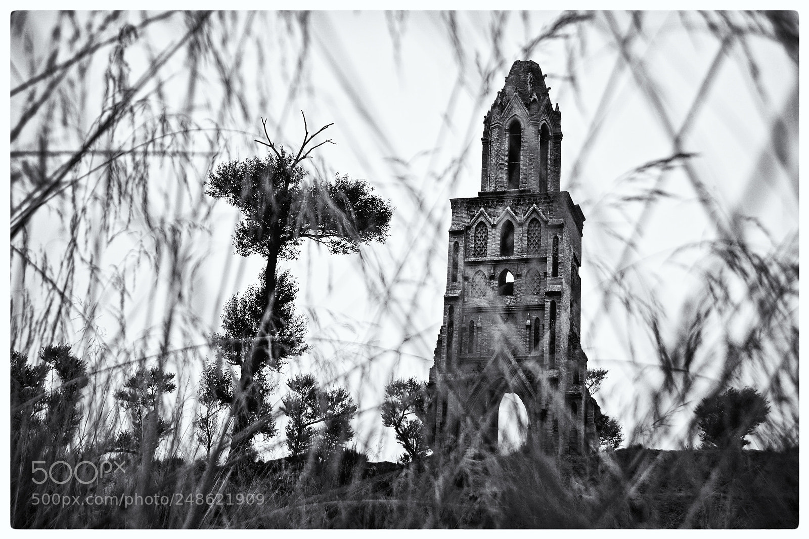 Nikon D300S sample photo. 八台子 photography