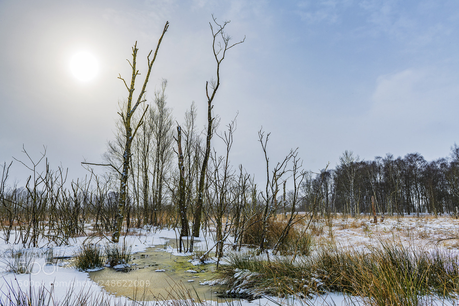 Nikon D850 sample photo. Snow in the moor photography