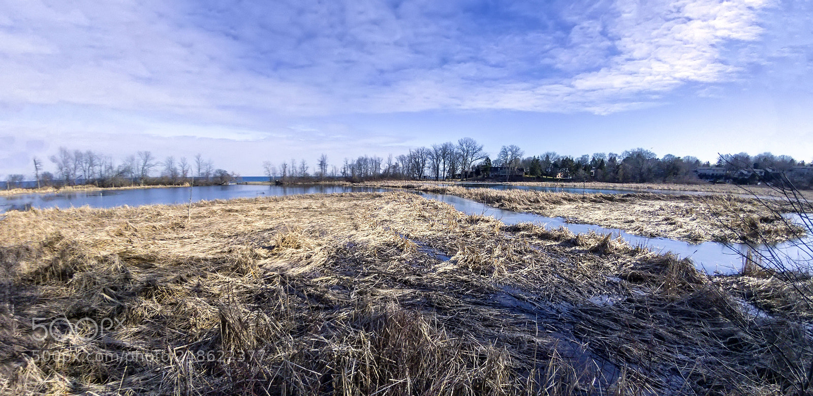 LG G5 sample photo. Rattray marsh photography