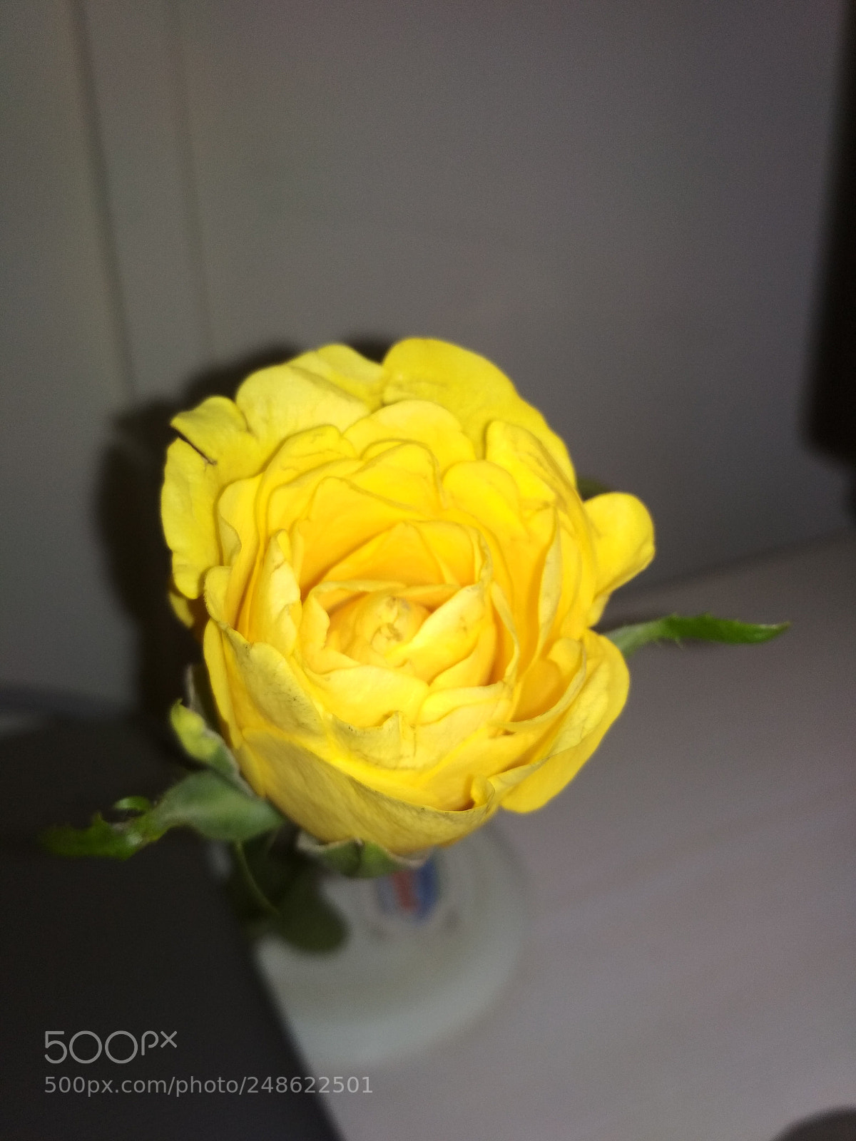 Xiaomi Redmi 4 Pro sample photo. Img_20180308_133926.jpg photography