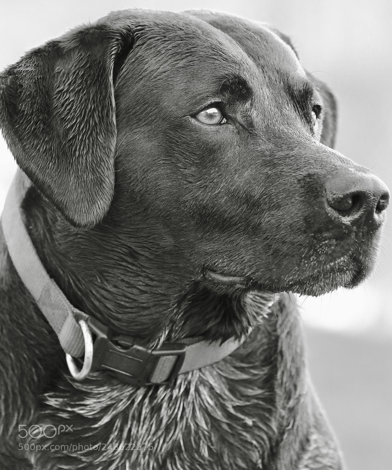 Canon EOS 7D Mark II sample photo. Untitled photography