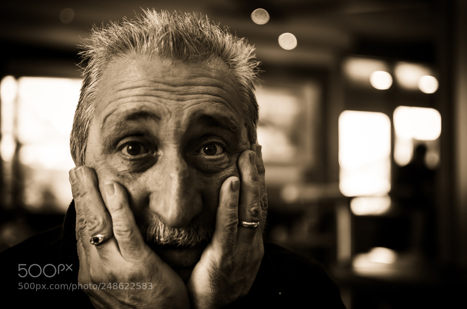 Nikon D5100 sample photo. Sepia effect. photography