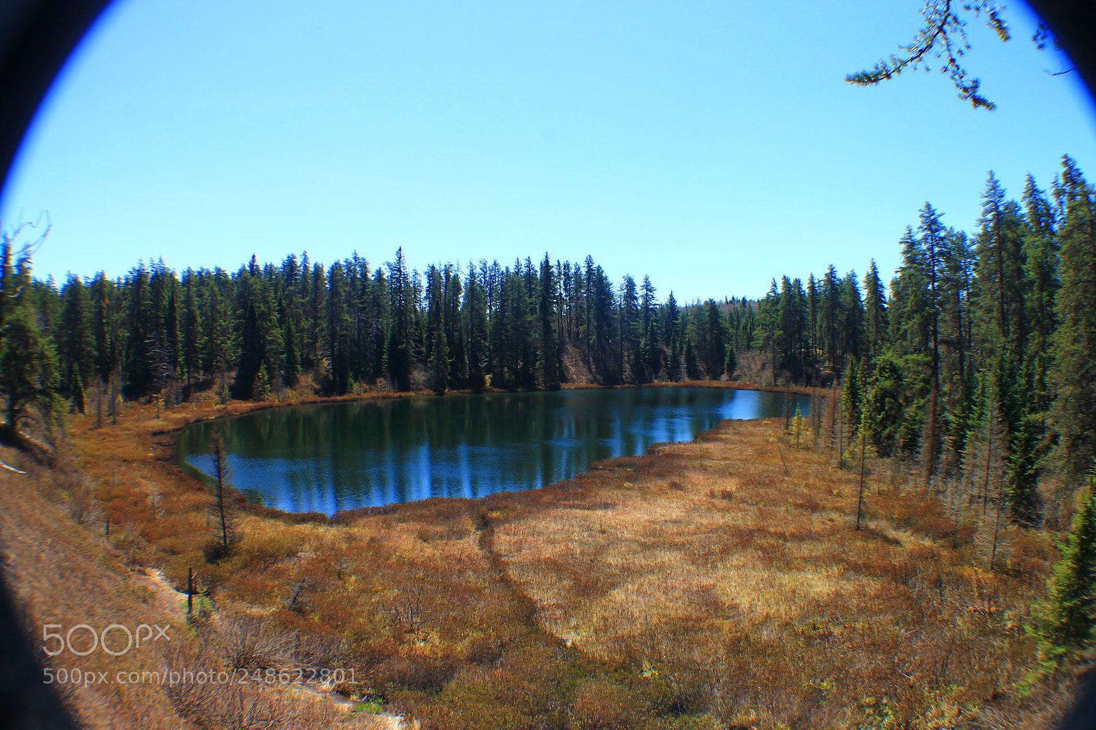 Canon EOS 1100D (EOS Rebel T3 / EOS Kiss X50) sample photo. Secret lake photography