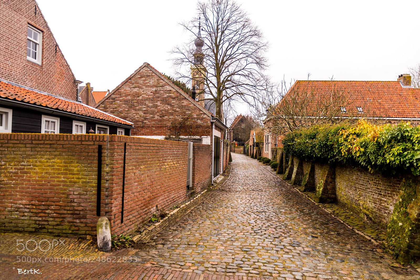 Nikon D500 sample photo. Veere, zeeland. photography