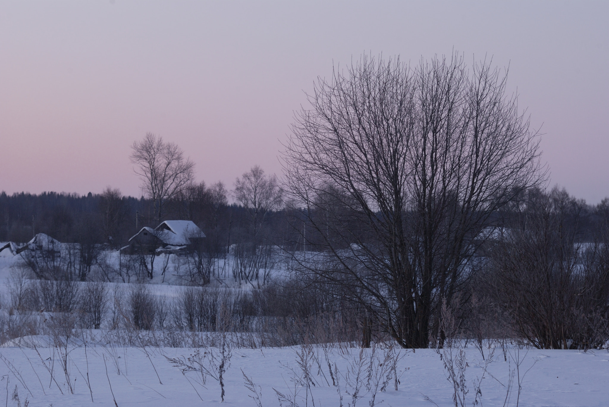 AF Zoom-Nikkor 35-135mm f/3.5-4.5 N sample photo. Тишина photography