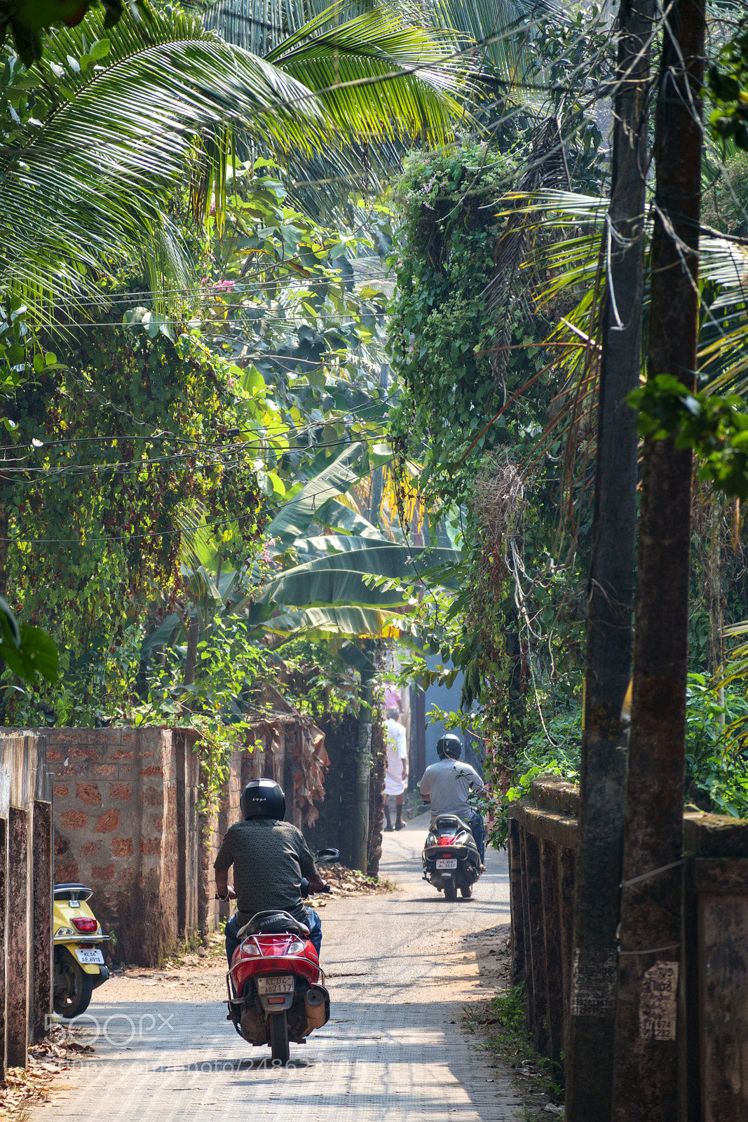 Canon EOS M6 sample photo. Alleppey i photography