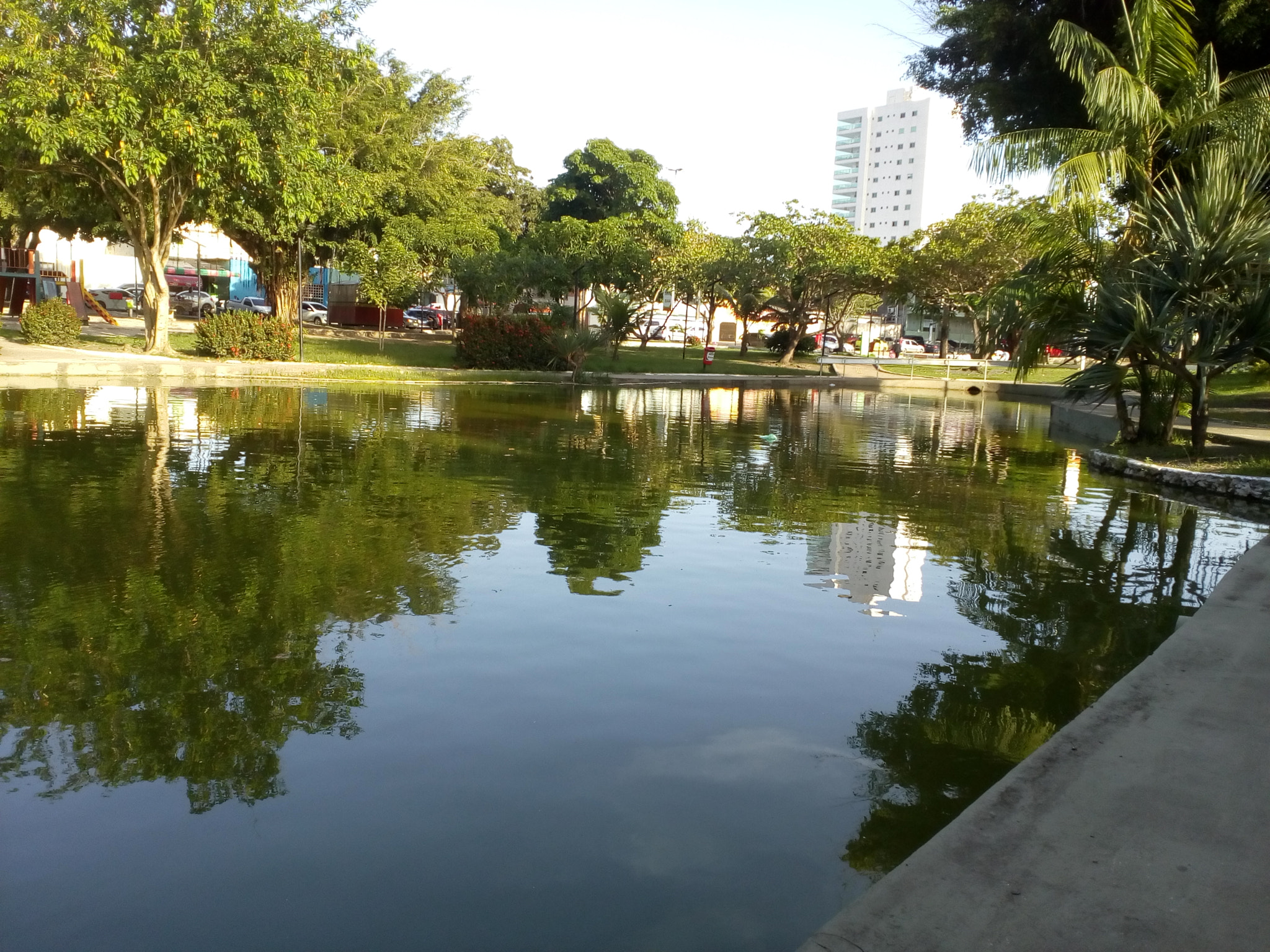 Lenovo VIBE K10 sample photo. Nature is life... photography