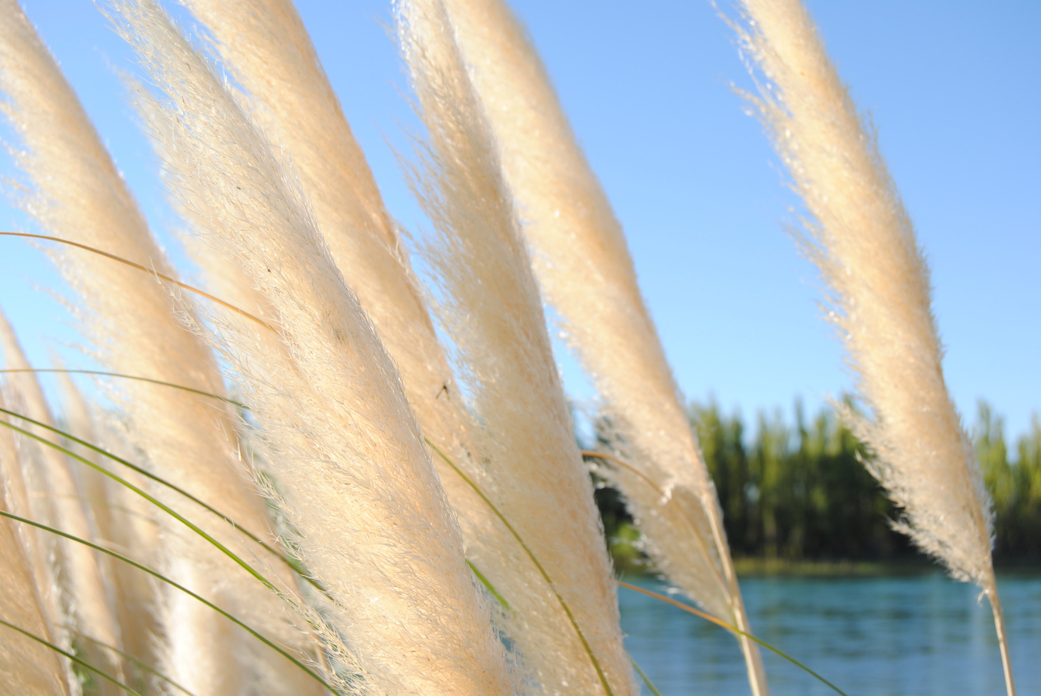 Nikon D3000 sample photo. Apuntando al cielo photography
