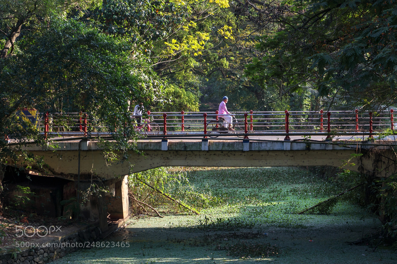 Canon EOS M6 sample photo. Alleppey ii photography