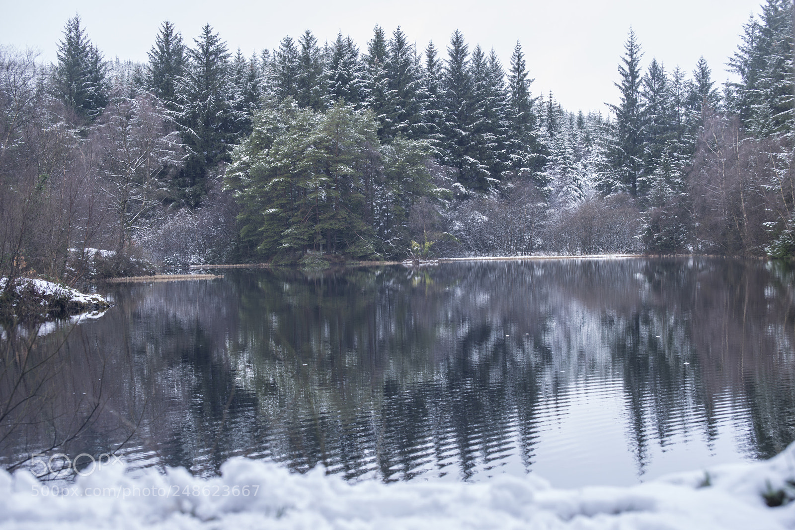 Nikon D610 sample photo. Lochan at kirroughtree in photography