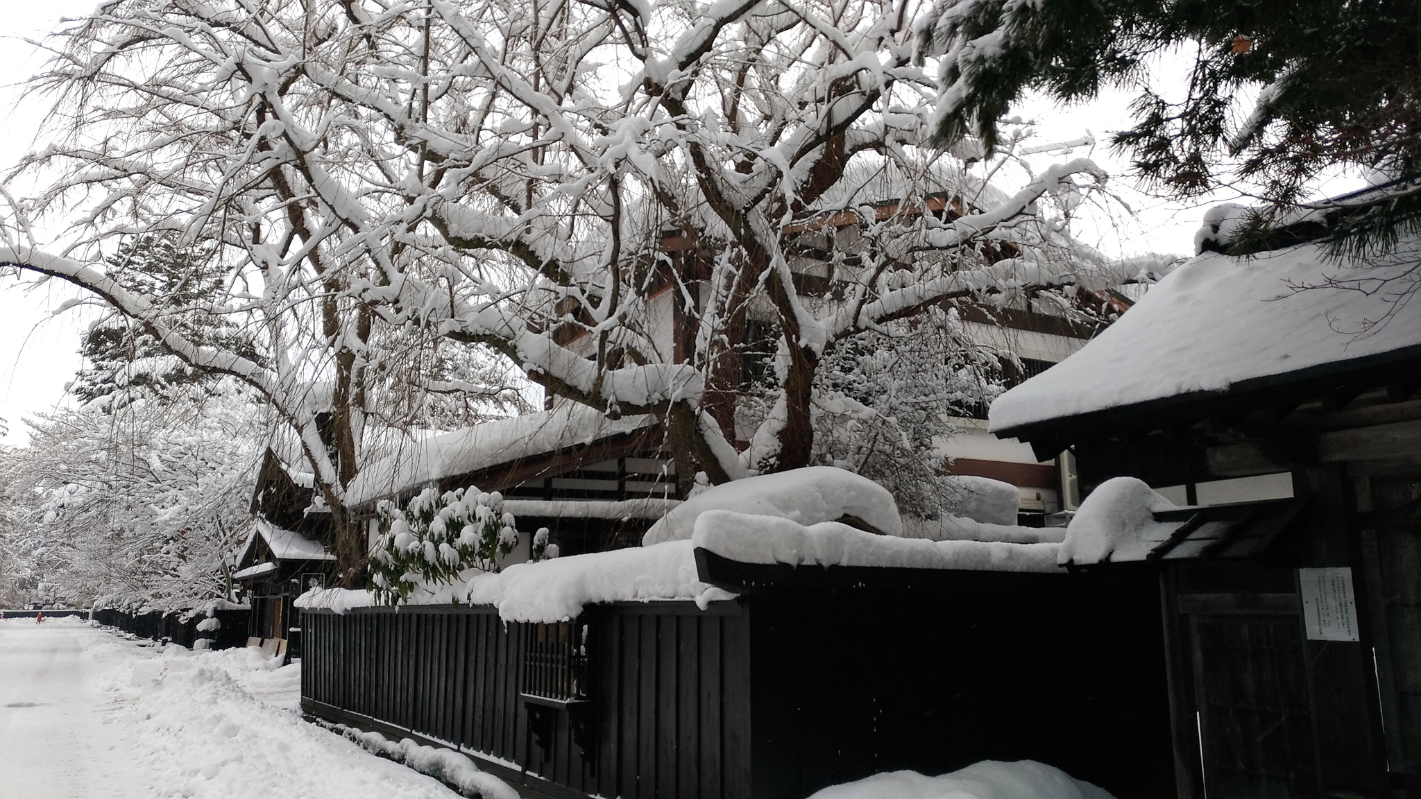 ASUS ZenFone 3 (ZE552KL) sample photo. Winter in kakunodate photography
