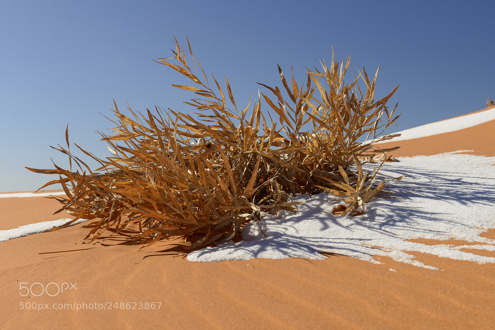 Nikon D800 sample photo. Coral sand dunes in photography