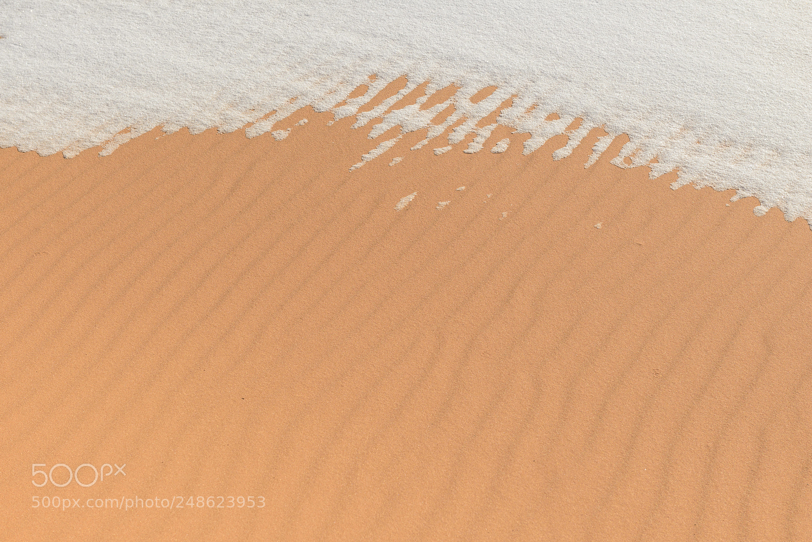 Nikon D800 sample photo. Coral sand dunes in photography