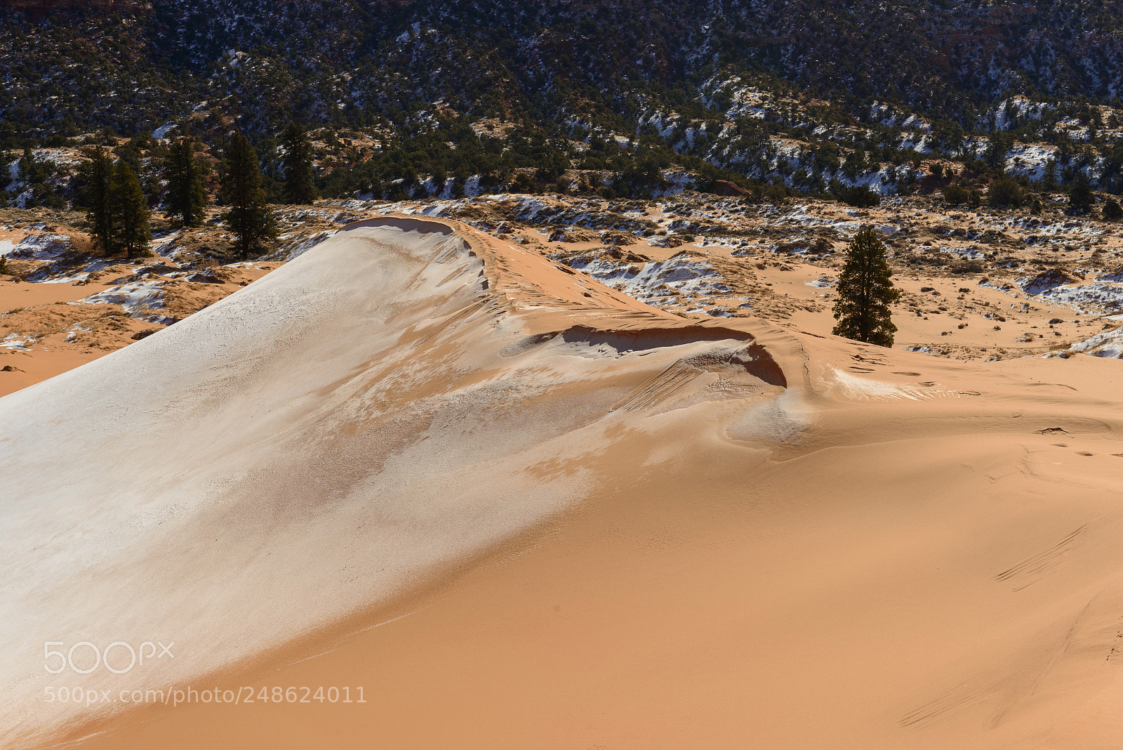 Nikon D800 sample photo. Coral sand dunes in photography