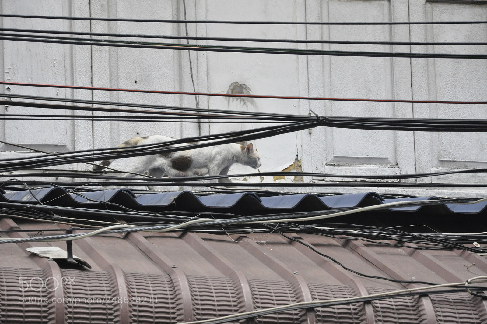 Nikon D90 sample photo. Bangkok,thailand photography