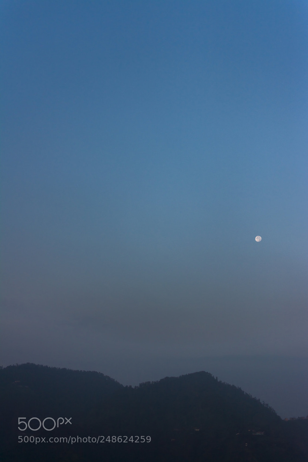 Nikon D5200 sample photo. Untitled photography