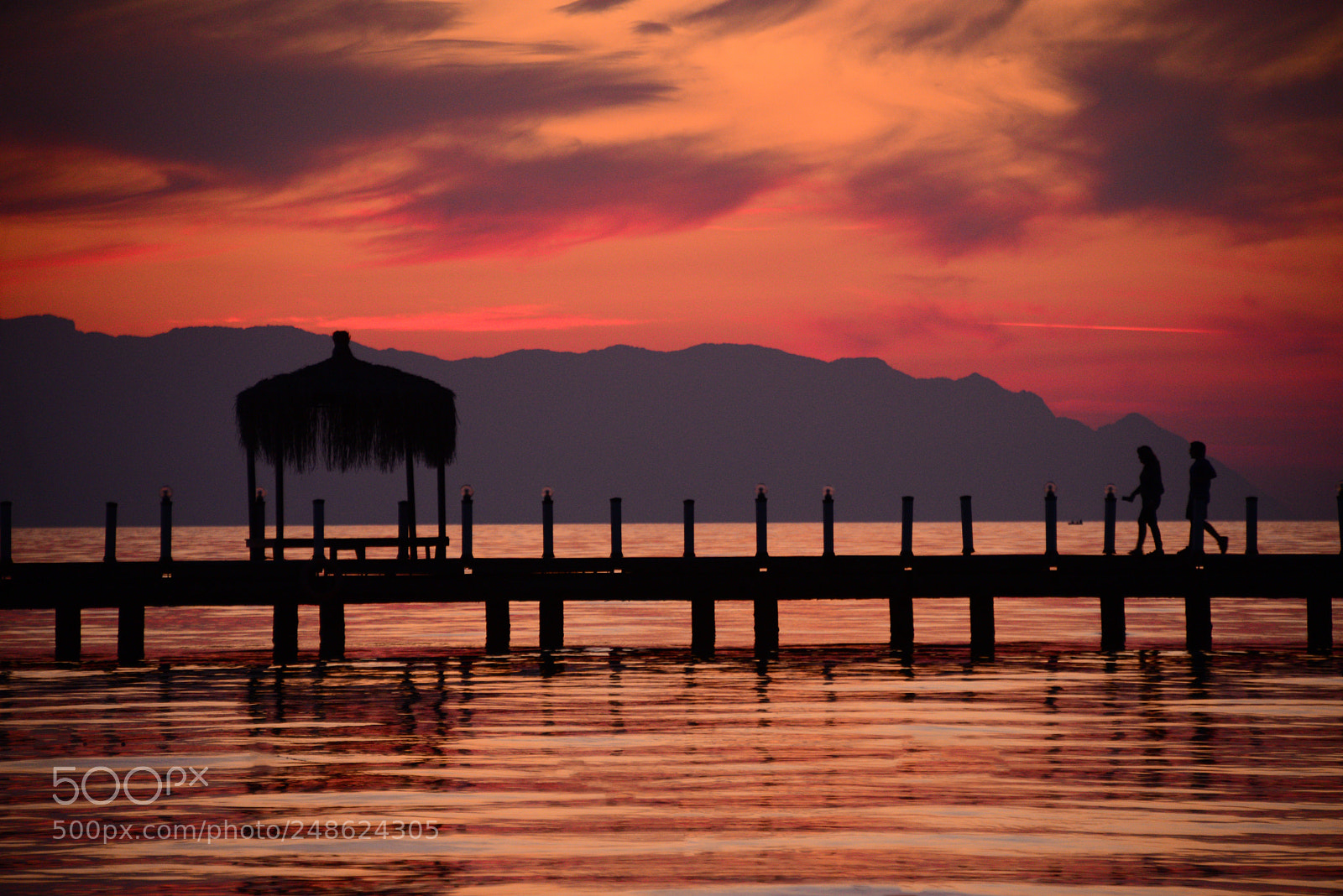 Nikon D610 sample photo. Untitled photography