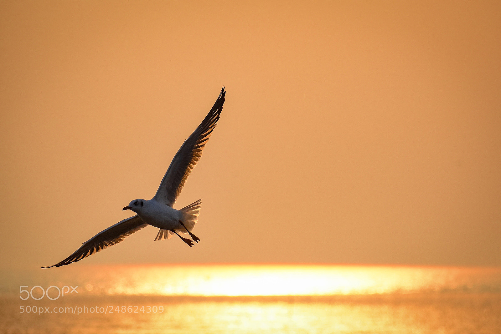 Nikon D7200 sample photo. Sunset time photography