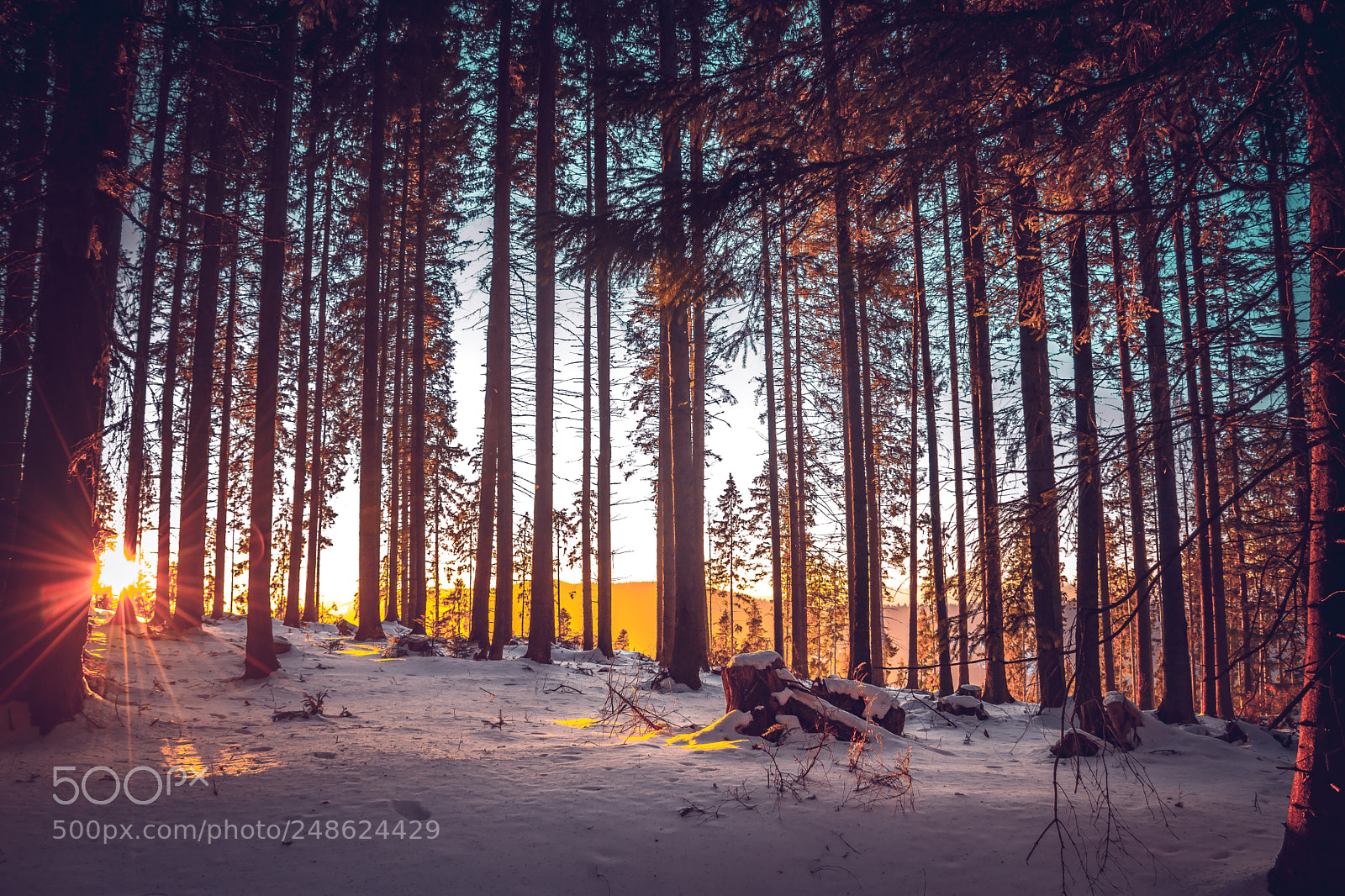 Nikon D7200 sample photo. Sunrise morning ! photography