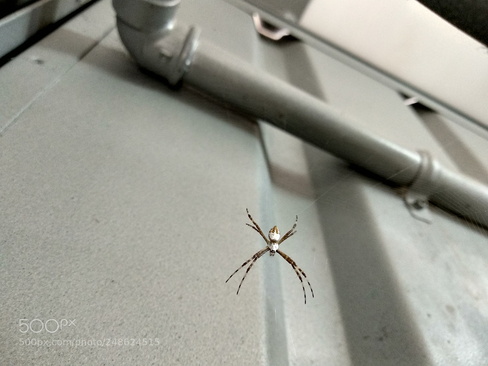 Xiaomi Mi A1 sample photo. Untitled photography