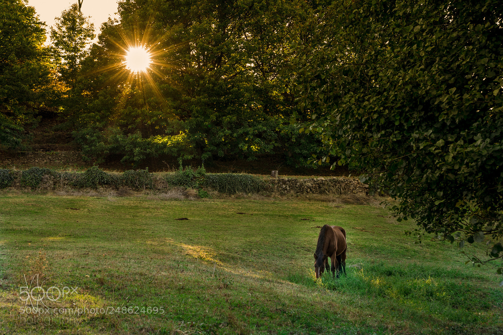 Sony a7R sample photo. The quiet (la tranquilidad). photography
